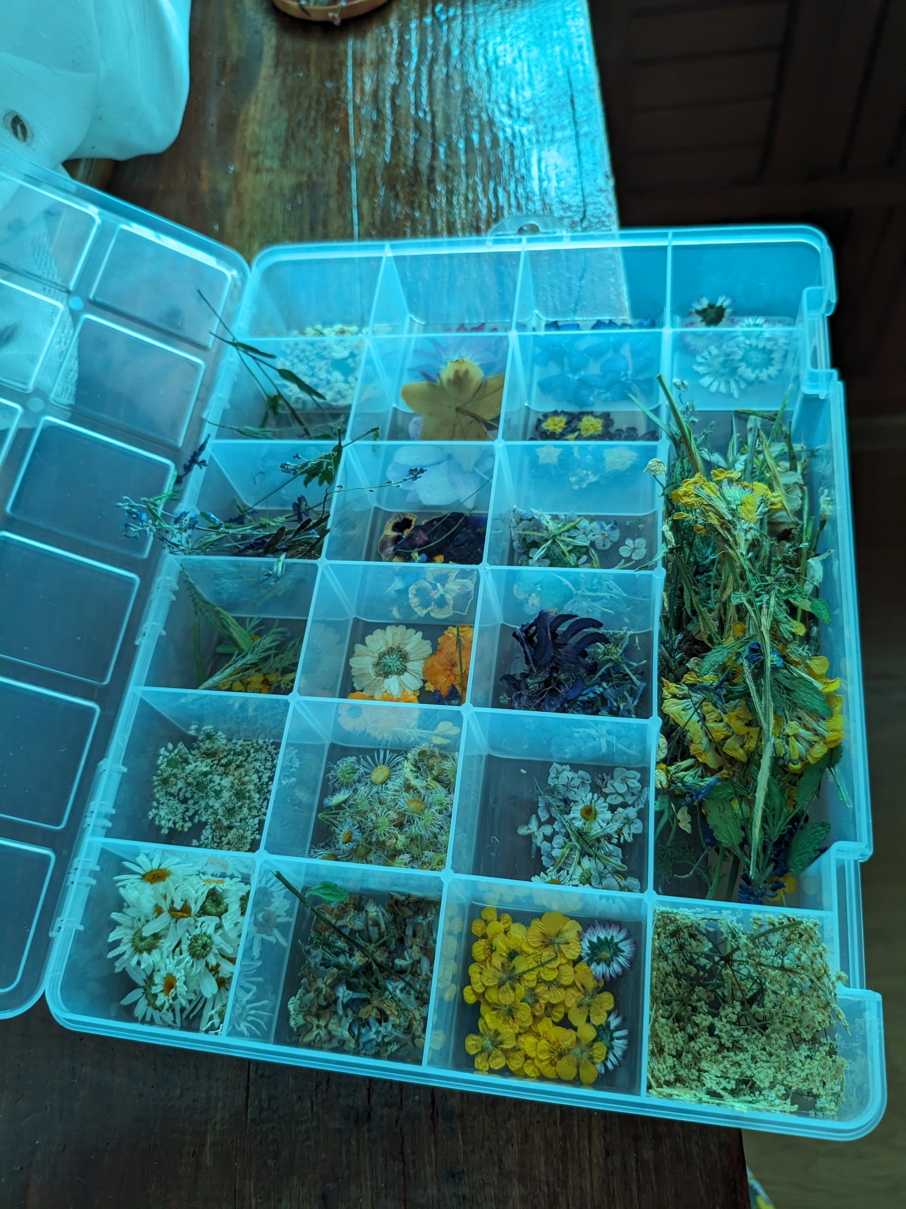 A descriptive alt text for the image